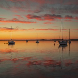 Sailing into the Summer Sunset 