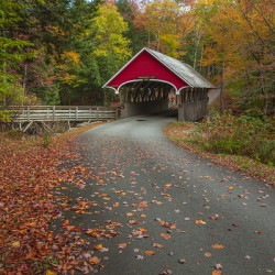 Magical Autumn Path to Bridge