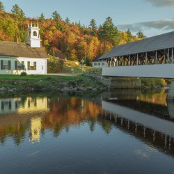 Stark Autumn  Reflections
