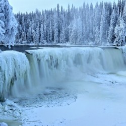 Magical Frost at  Lady Evelyn Falls