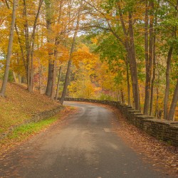 Letchworth Autumn Road to Paradise