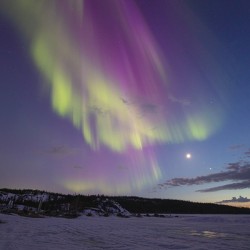 Prelude Lake Winter Aurora