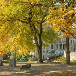 Autumn Splash in Quebec City