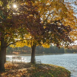 Eugenia Lake sunburst
