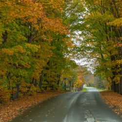 Colebrook Autumn Road
