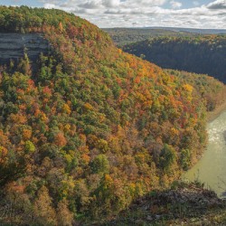 Archery Field Overlook in Autumn Glory