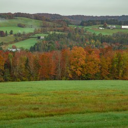 Barnet Autumn Rolling Hills