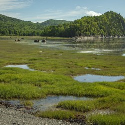 Bic National Park Beauty