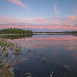 Jackfish Lake cotton candy Reflections