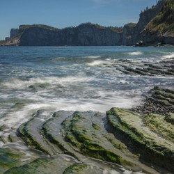 Forillon Rocky Scale Textures