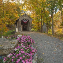 Autumn walk to Tannery Hill Bridge