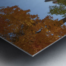 Autumn Beauty Metal print