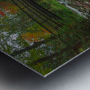 Belfountain early autumn flow Metal print