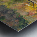 Vermont Cottage Reflection Metal print