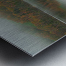 Foggy Autumn lake reflections Metal print