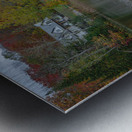 Saint Sophie Autumn Vibrancy Metal print