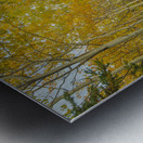 Northern Autumn Serenity Metal print