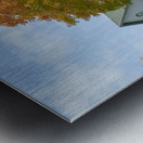 Autumn Classic Maples Metal print