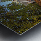 Flesherton Maple Magic Metal print