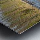 Sunwapta River Beauty Metal print