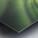 House Boat Aurora Explosion Metal print