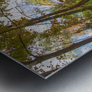 Tannery Hill Bridge Autumn Magic Metal print