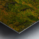 Colebrook Autumn Road Metal print