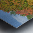Autumn Maple Magic Metal print