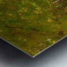 Letchworth Autumn Tree Tunnel Glow Metal print