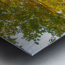 Letchworth Autumn Glow Metal print