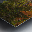 Taughannock Falls Autumn Paradise Metal print