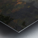 Evening Lights at Middle Falls Metal print