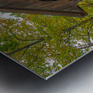 Henniker Covered Bridge Metal print