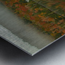 Autumn Morning Vibrancy Metal print