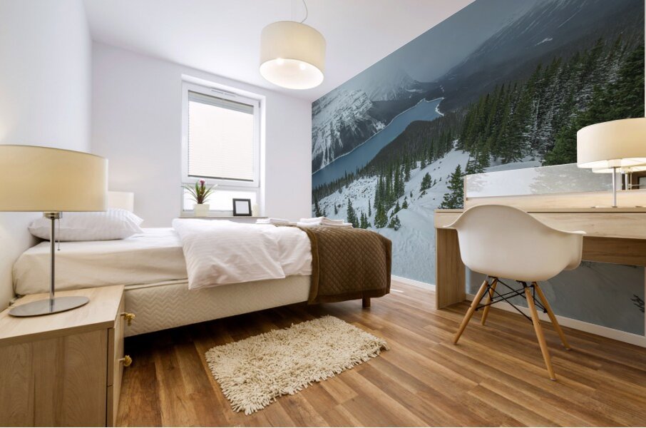 Peyto Lake winter overlook Mural print