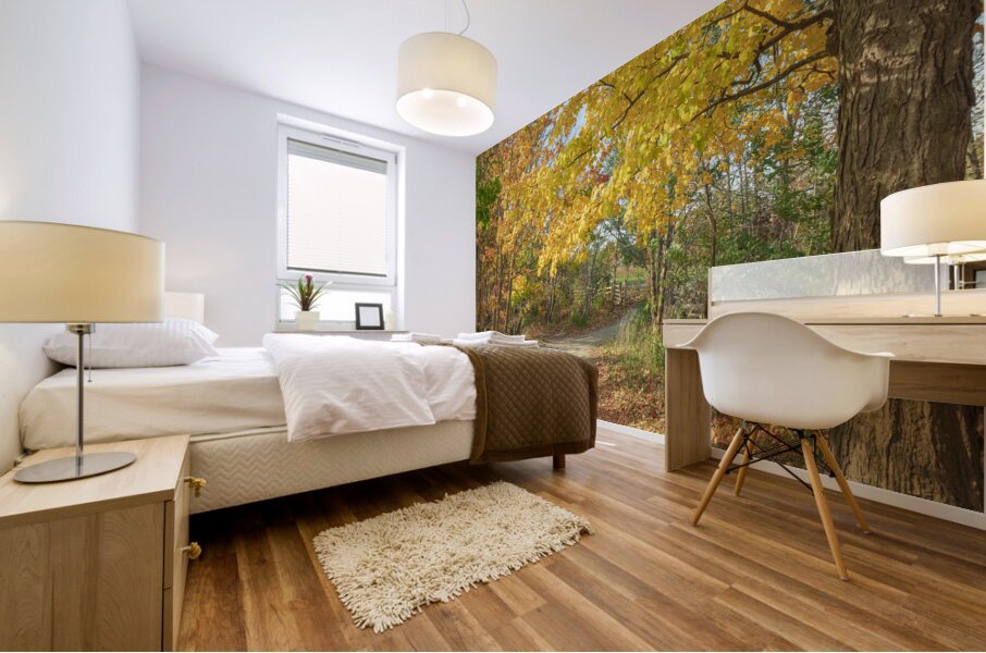 Decew Falls Autumn Trail Mural print