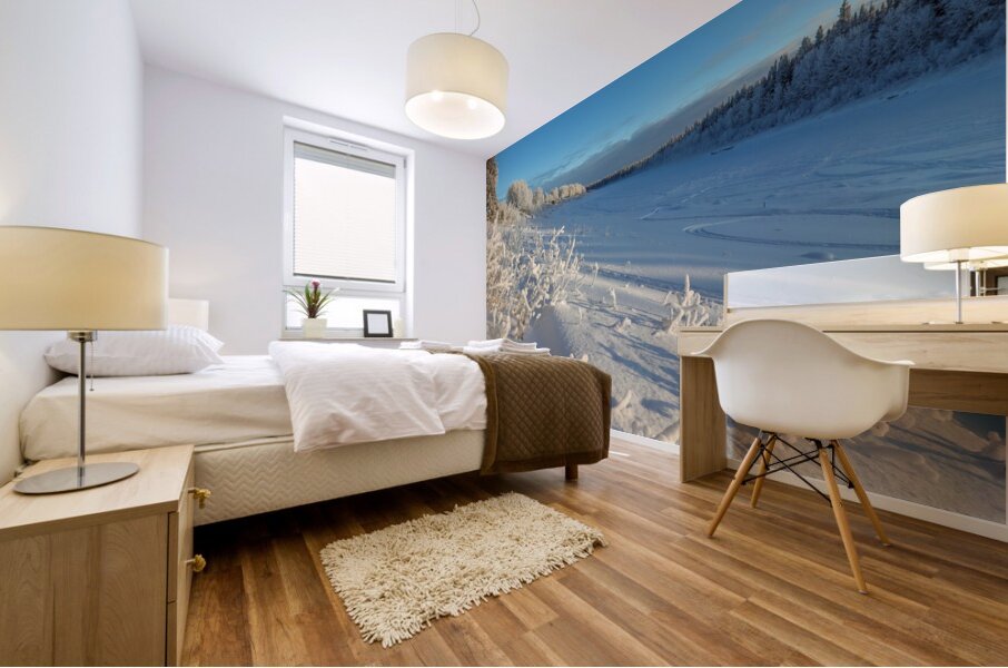 Frozen Hay River magic Mural print