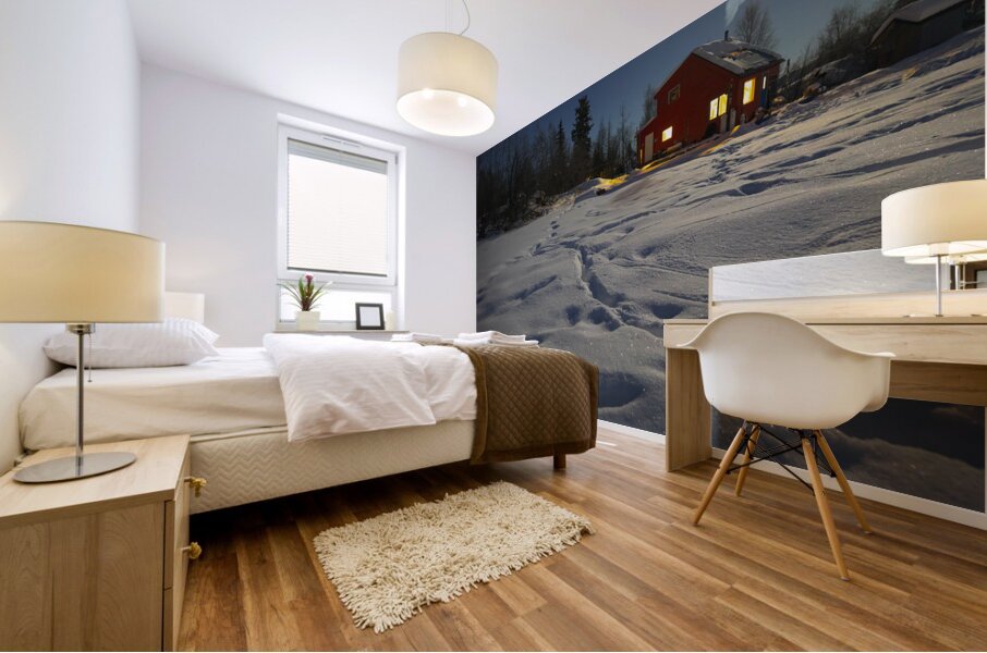 House boat Winter Sparkle Mural print