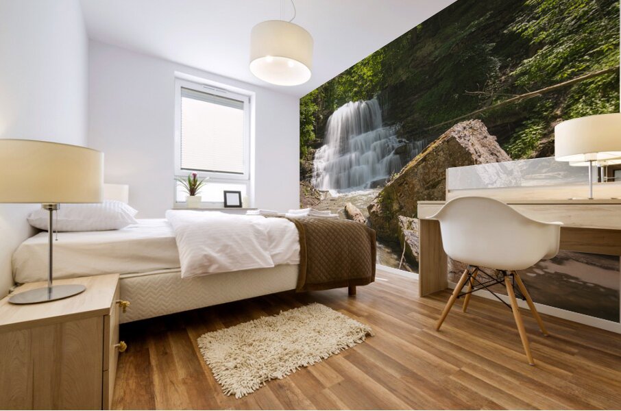 Lower Decew Falls Mural print