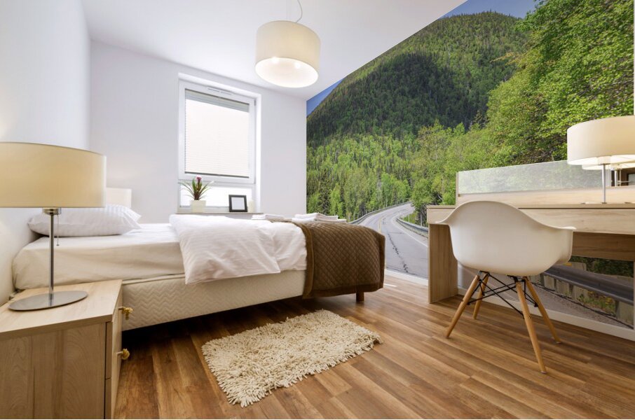 Mountain Road in Forillon National park Mural print