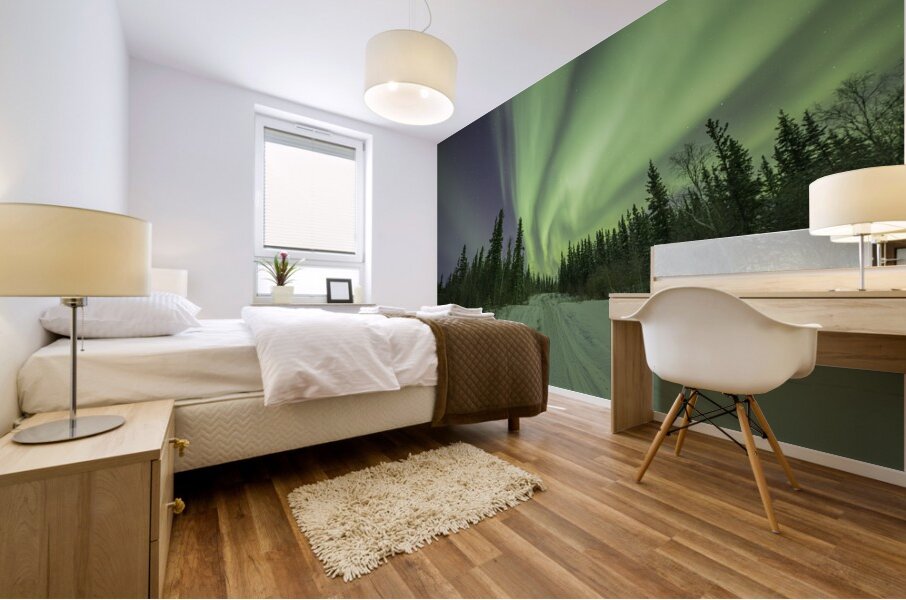 Light up the path Mural print