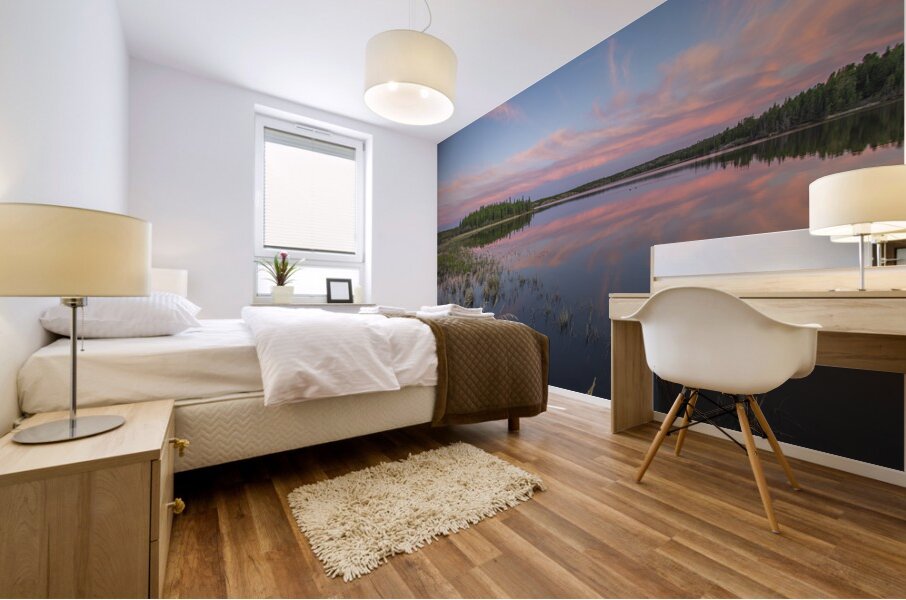 Jackfish Lake cotton candy Reflections Mural print