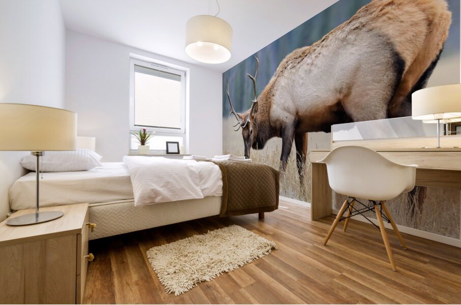 Jasper Elk Mural print