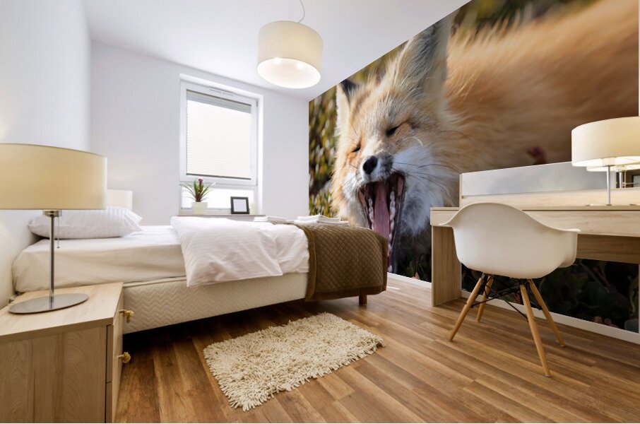 Fox Yawning Mural print