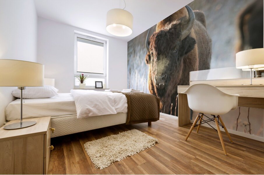 Wood Bison in Morning Frost Mural print