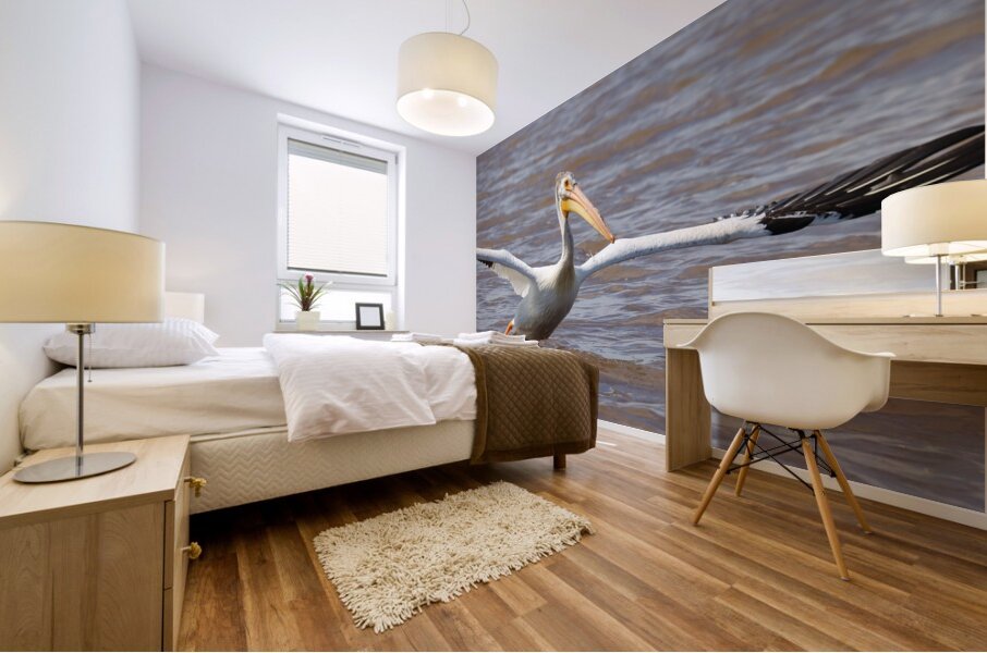 Pelican Takeoff Mural print
