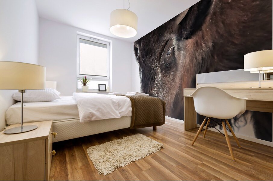 Winter Bison Portrait Mural print