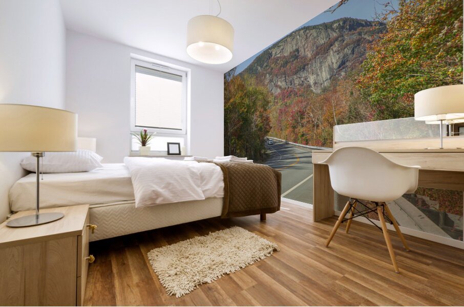 Crawford Notch Autumn Road Mural print