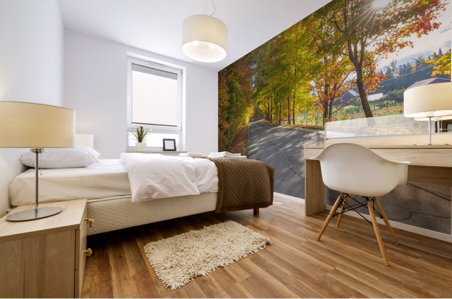 Autumn Road Morning Glow Mural print