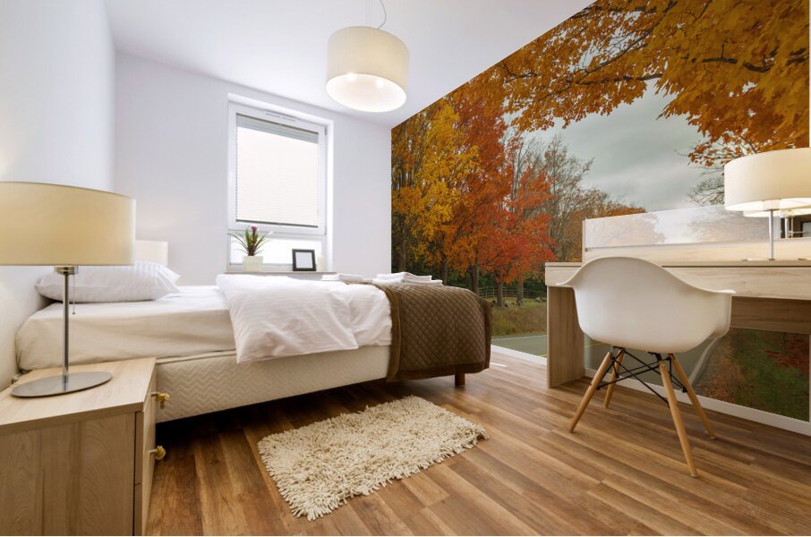 Rural Autumn Road Splendor  Mural print